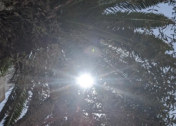 Aghata Palms Riad