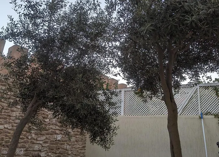 Aghata Palms Riad